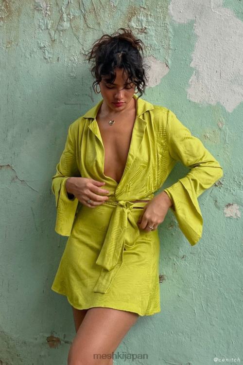 アナリーズラップトップ Meshki シャルトルーズ N80F61047 衣類